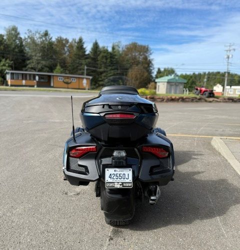 dl6
