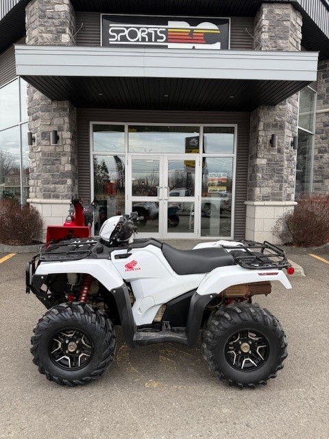 HONDA RUBICON DELUXE 500 2016