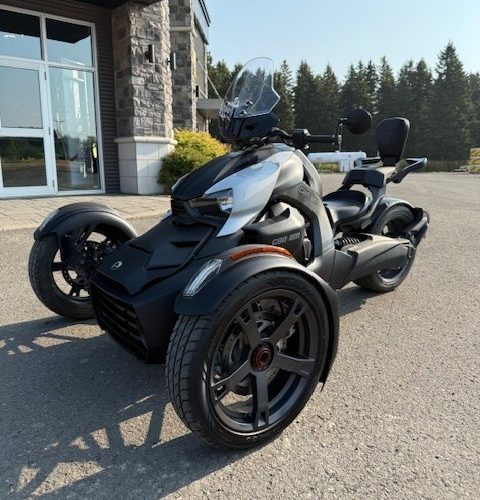 lbb3